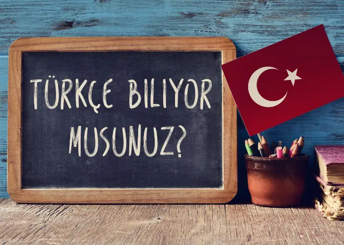 Дневен турски
