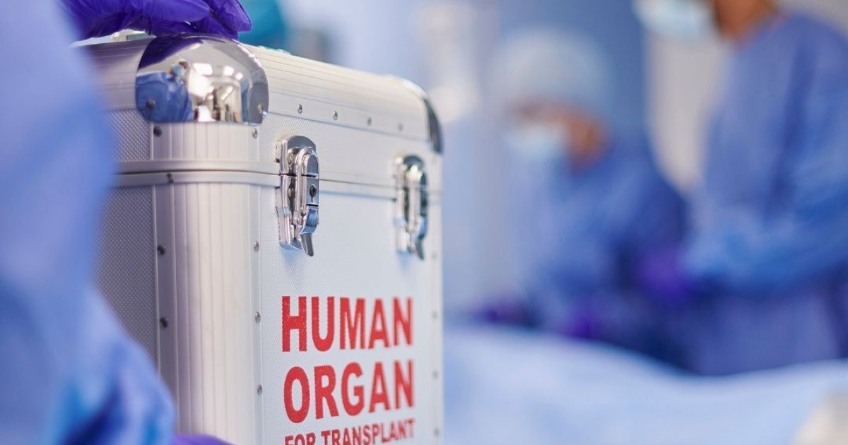 Organ Transplantation | Istanbul.com